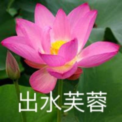 热血沙城九游版下载